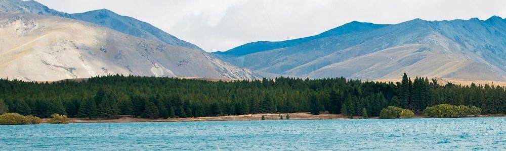 User banner image