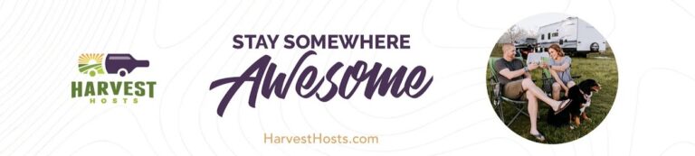 channels4 banner 768x173